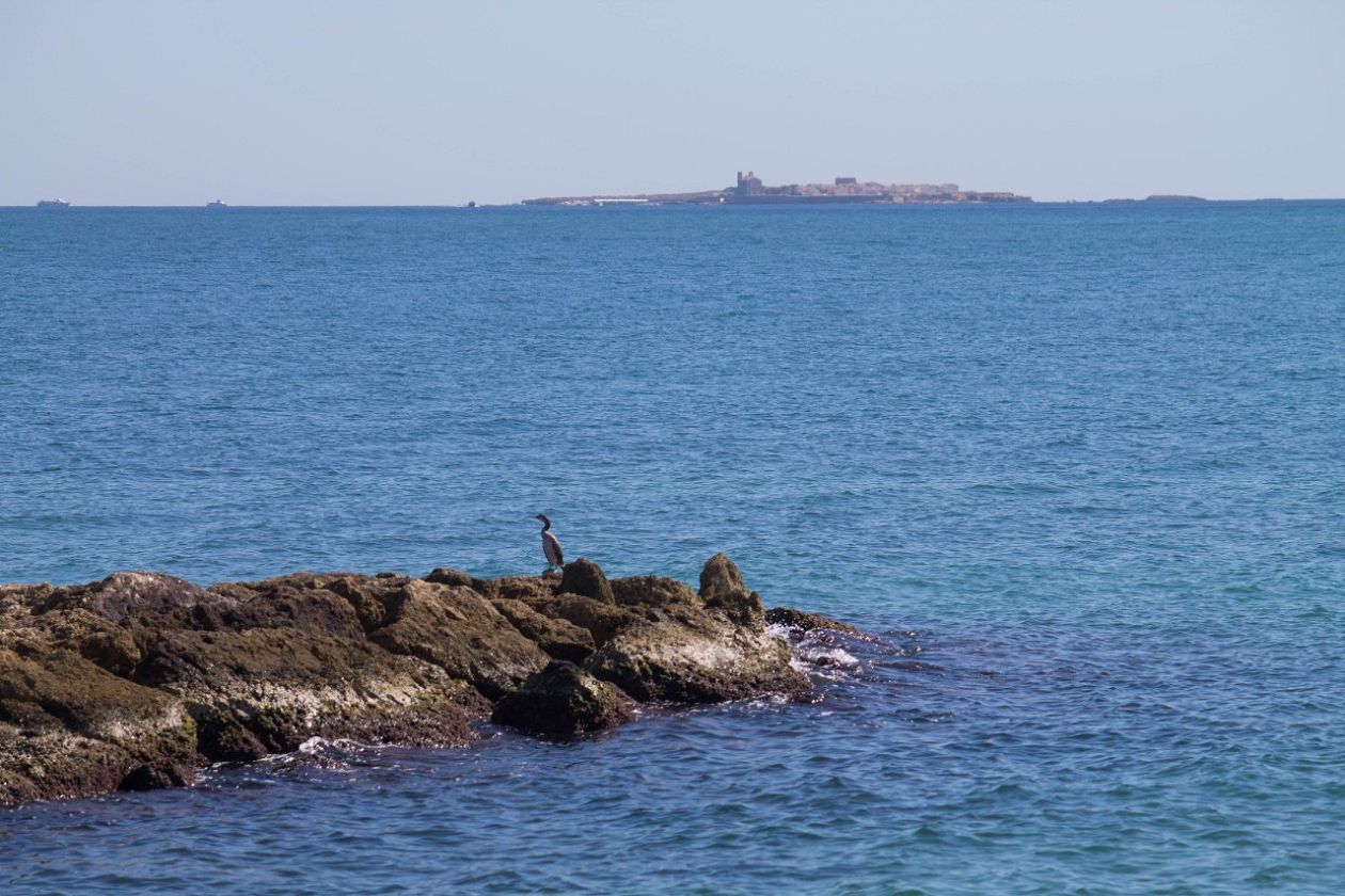 Santa Pola  Port & Marina